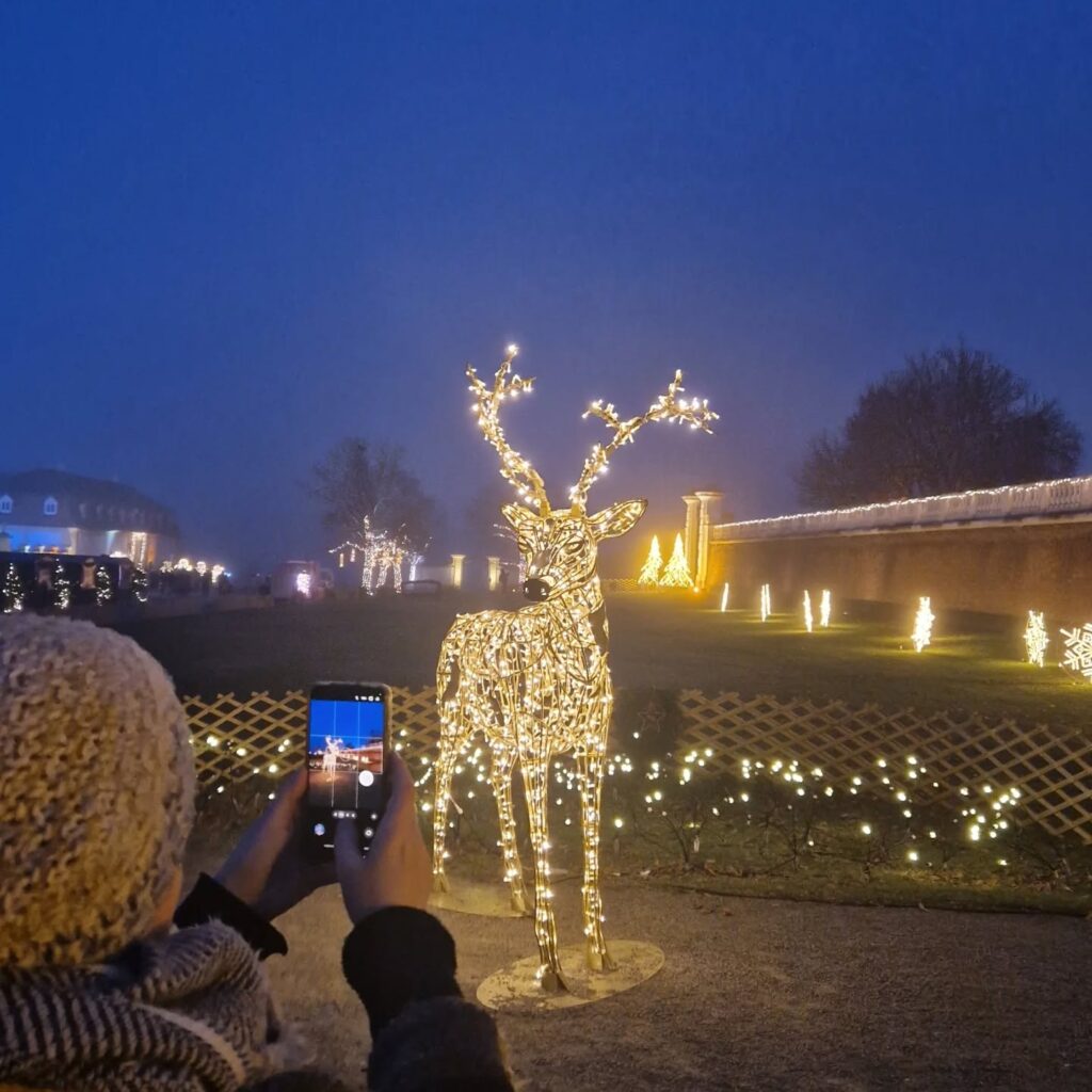 Instagram post from better.call.raoul. This post is in position 5.