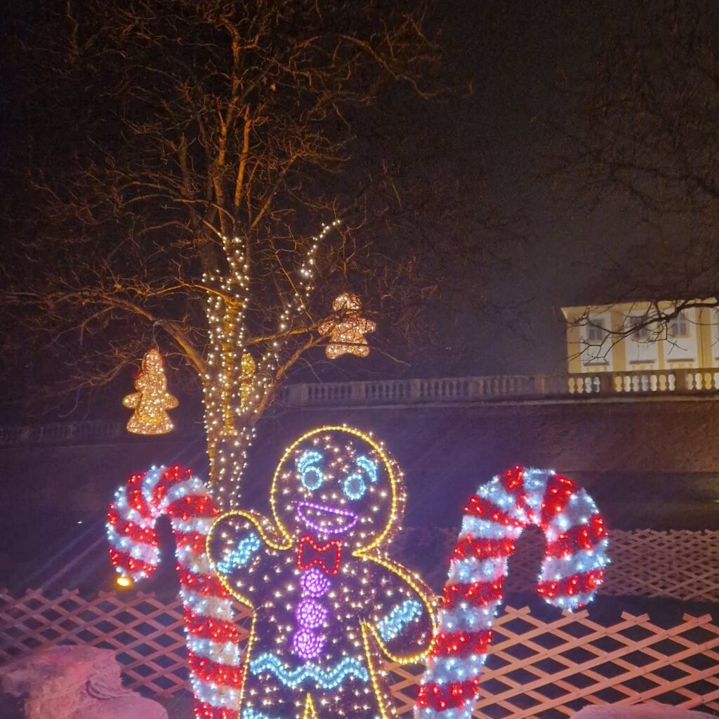 Instagram post from better.call.raoul. This post is in position 4.