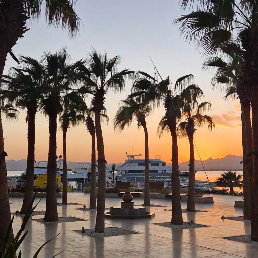 Instagram post from better.call.raoul. This post is in position 2.