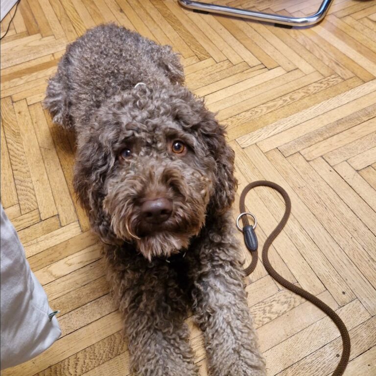 Instagram post from better.call.raoul. This post is in position 15.