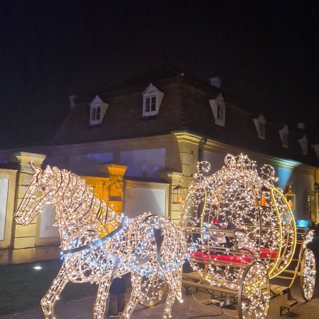 Instagram post from better.call.raoul. This post is in position 3.