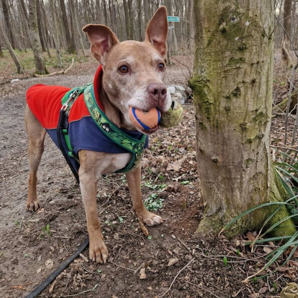 Instagram post from better.call.raoul. This post is in position 1.