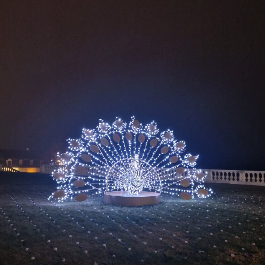 Instagram post from better.call.raoul. This post is in position 2.