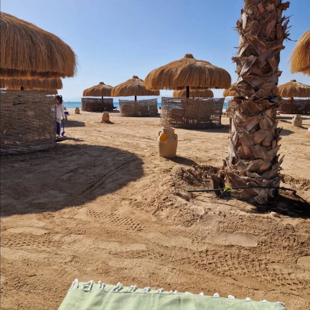 Instagram post from better.call.raoul. This post is in position 1.