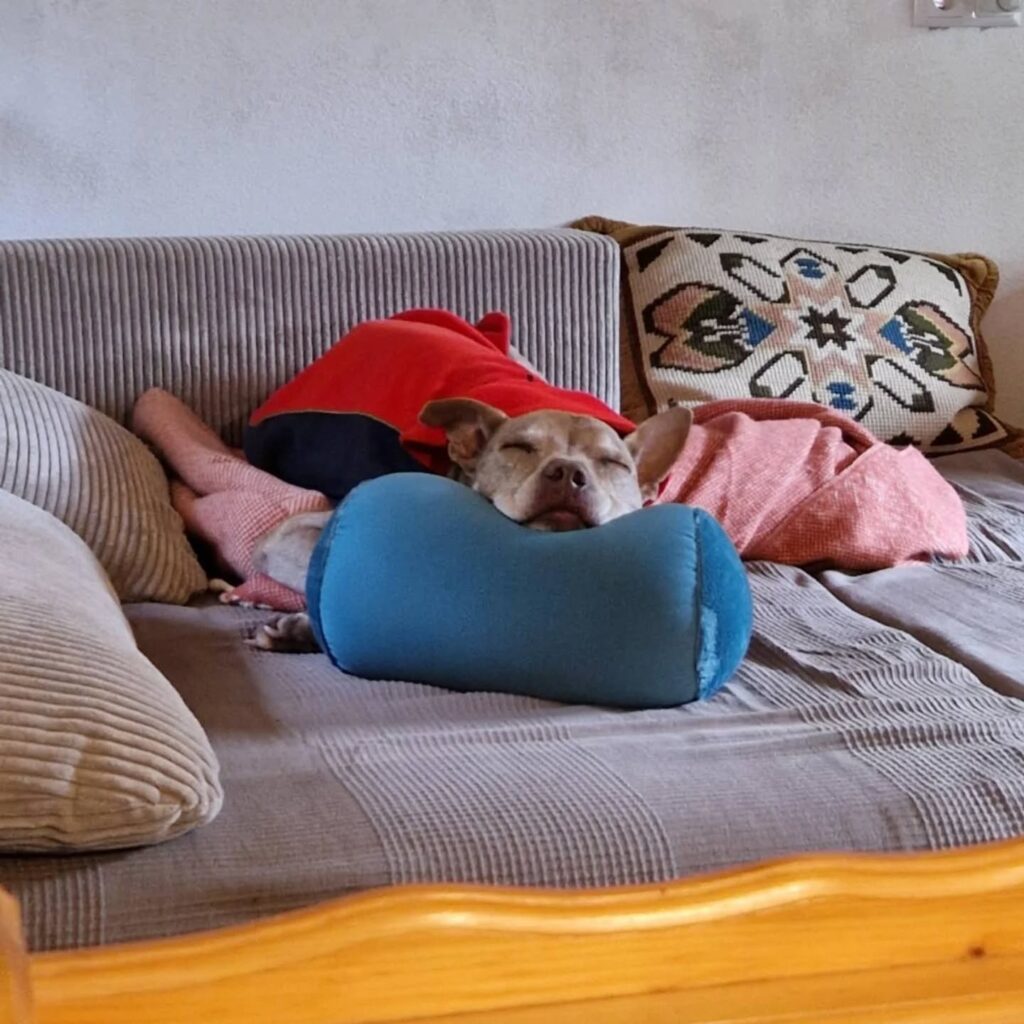 Instagram post from better.call.raoul. This post is in position 3.